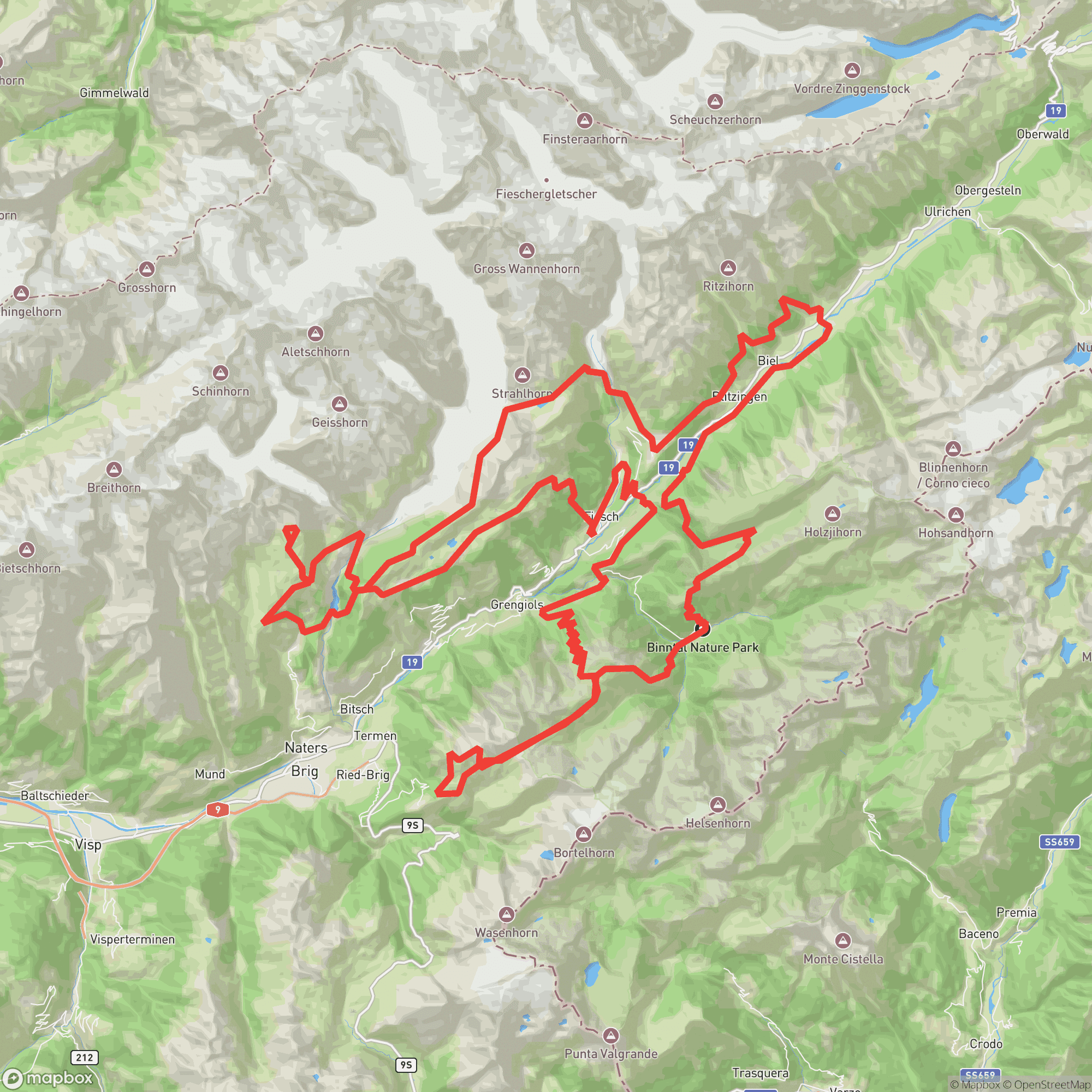 Swiss Alps 100 160KM