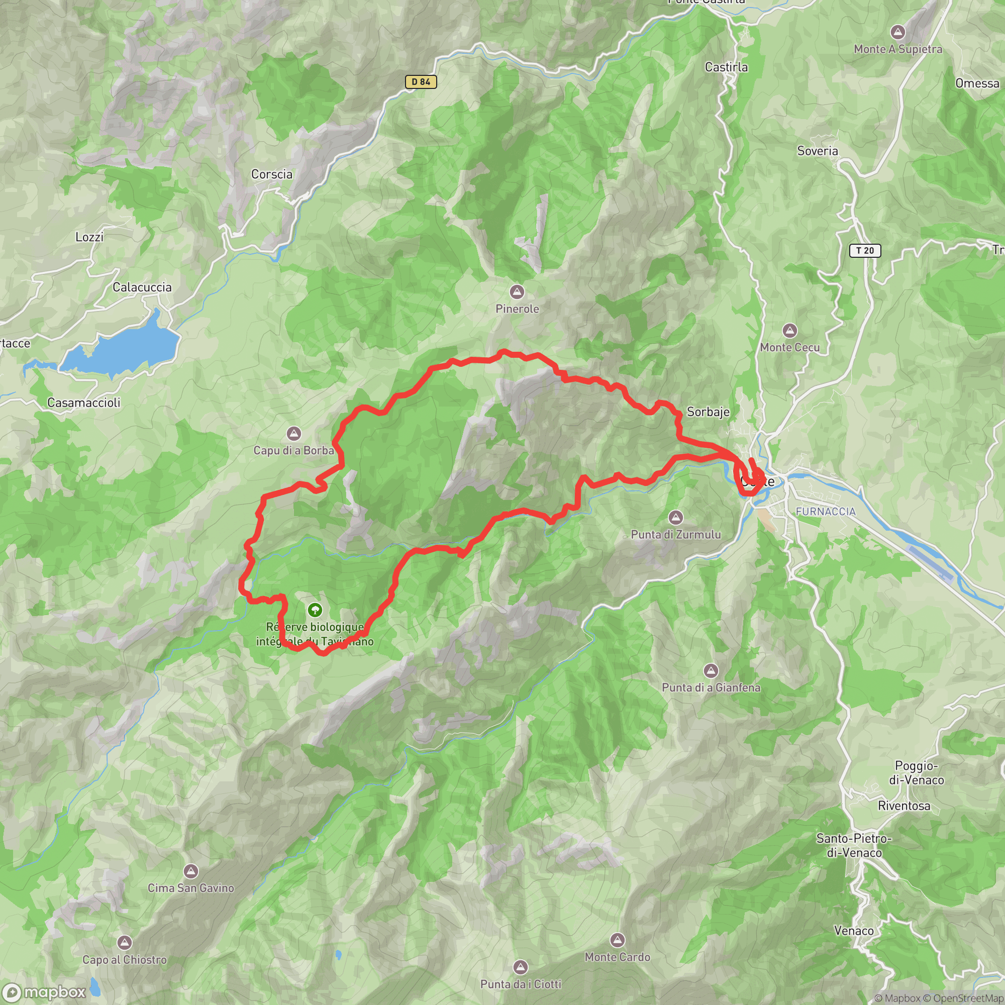 Course map